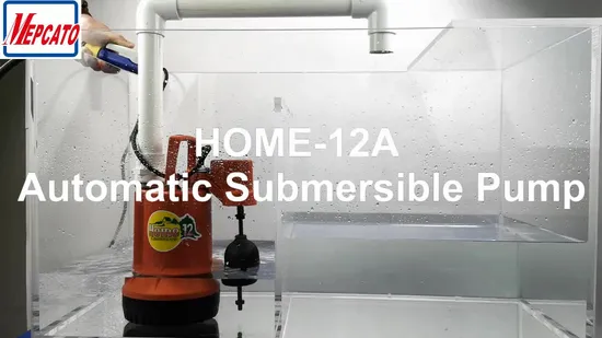 Piccola pompa sommergibile portatile in plastica per uso domestico con interruttore a galleggiante per irrigazione del giardino paesaggistico Lavaggio dell'auto Drenaggio del seminterrato (Serie Home)